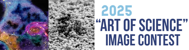 2025 Image Contest banner