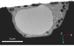 PFIB tomography