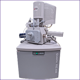 FEI Quanta 650 ESEM