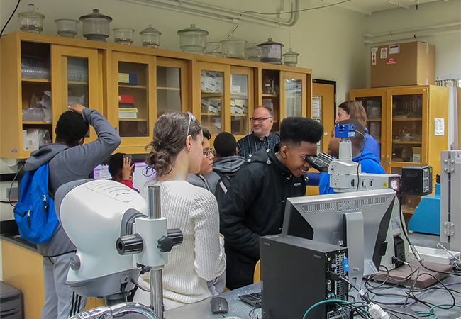 exploring the microscope