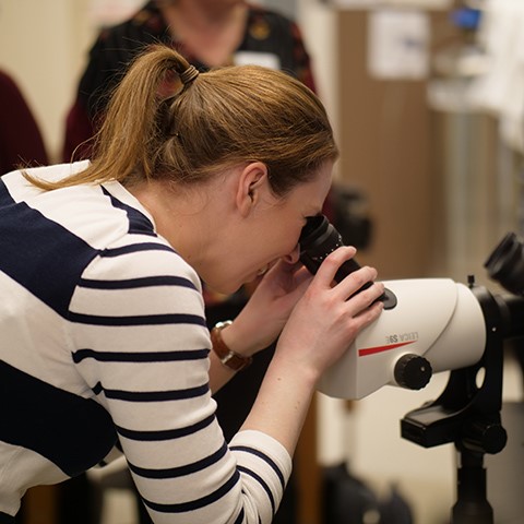 Attendee looking through a microscope