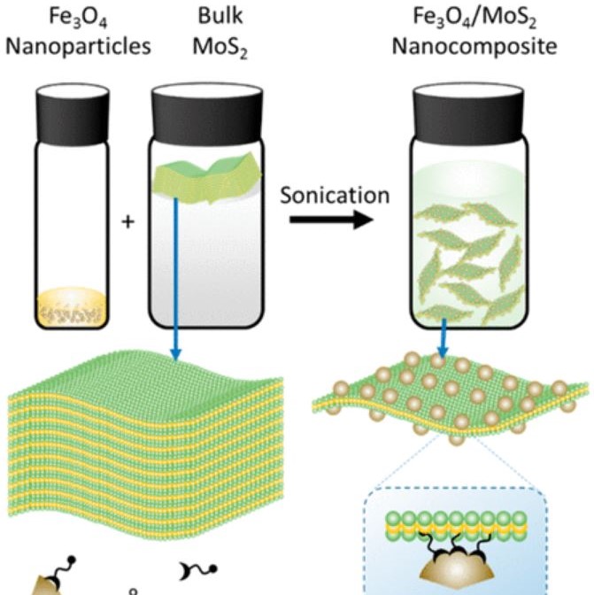 Synthesis of Fe3O4/MoS2 Nanocomposites via Thiol-Functionalized Fe3O4Nanoparticle-Assisted Stabilization of Exfoliated MoS2